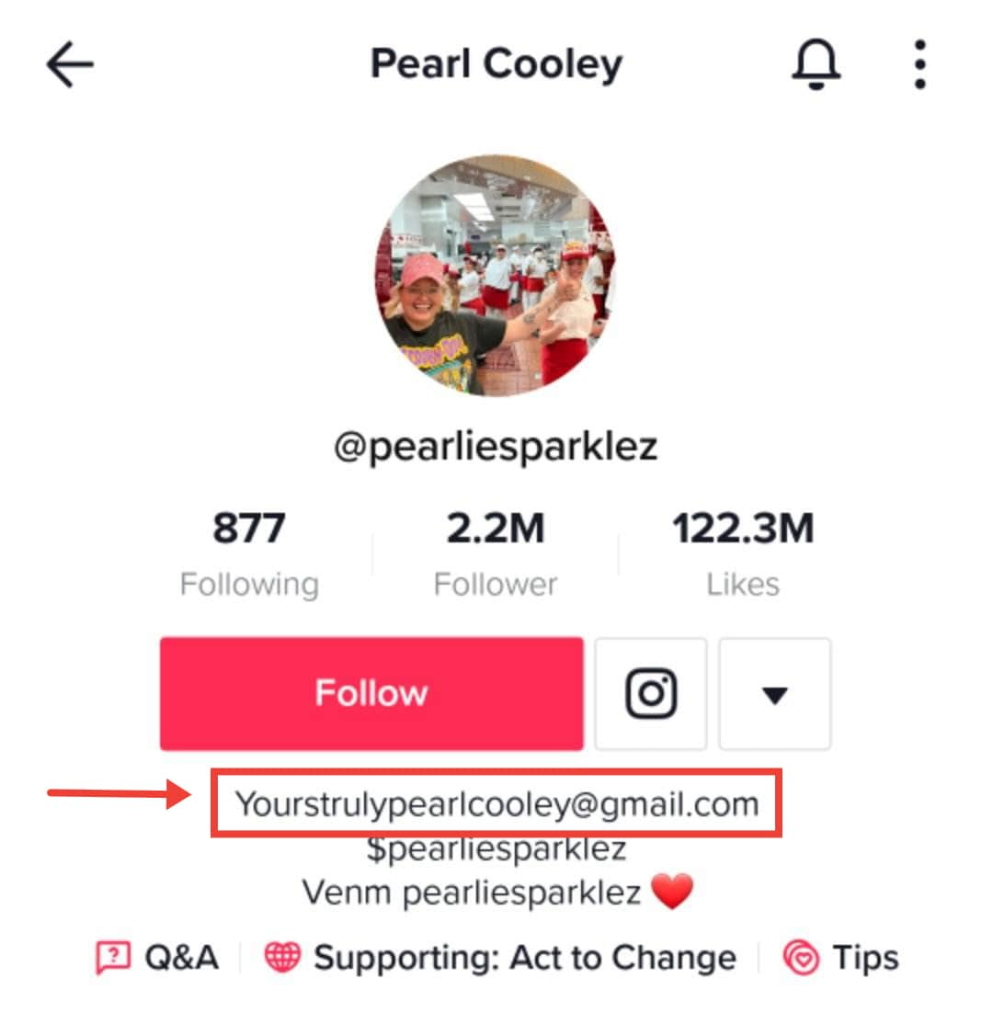 Where to find public email on TikTok profile